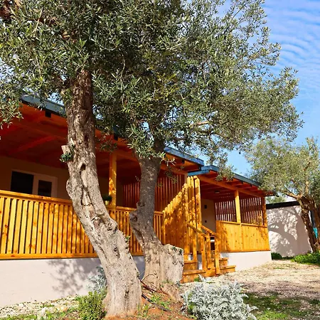 Apartman Camp Stella