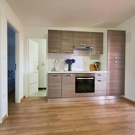 Camp Stella * 斯维蒂佩塔