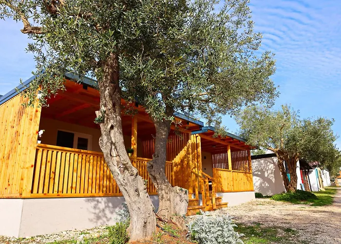 Appartement Camp Stella